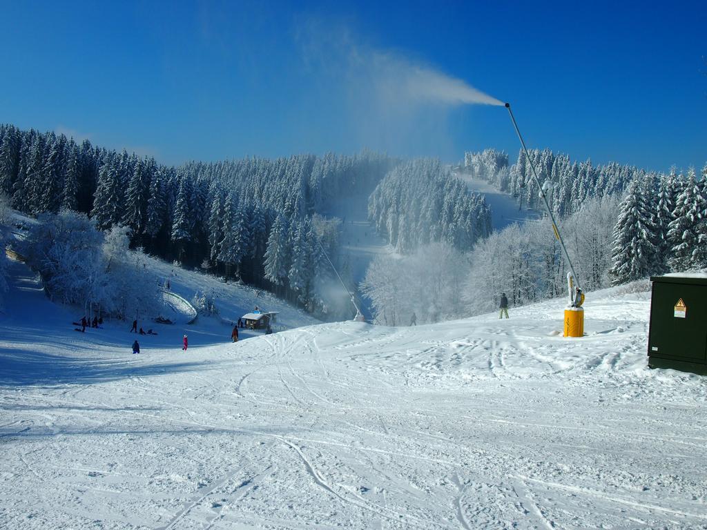 Rothaarnest Daire Winterberg Dış mekan fotoğraf